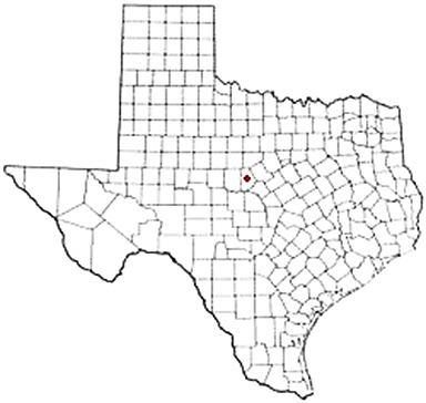 Brookesmith Texas Apostille Document Services