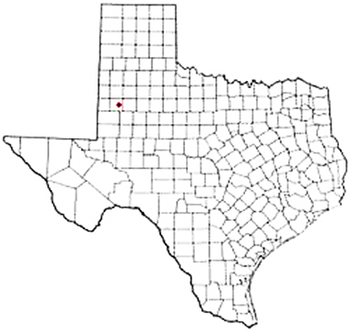 Brownfield Texas Apostille Document Services