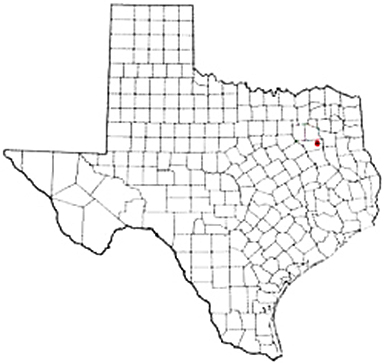 Brownsboro Texas Apostille Document Services