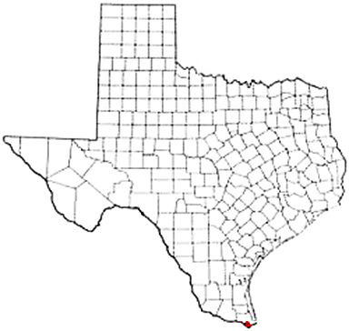 Brownsville Texas Apostille Document Services