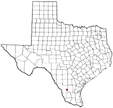 Bruni Texas Apostille Document Services