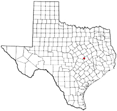Buckholts Texas Apostille Document Services