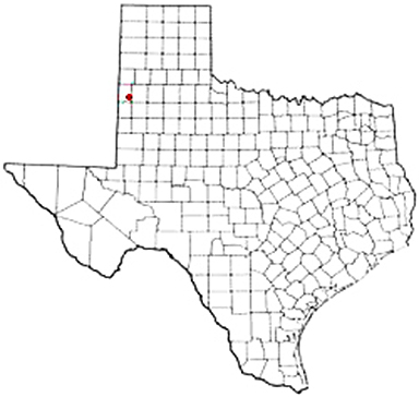 Bula Texas Apostille Document Services