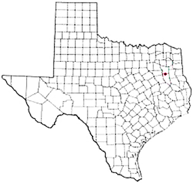 Bullard Texas Apostille Document Services