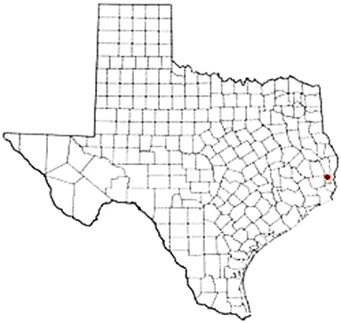 Buna Texas Apostille Document Services