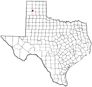 Bushland Texas Apostille Document Services