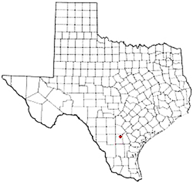 Calliham Texas Apostille Document Services