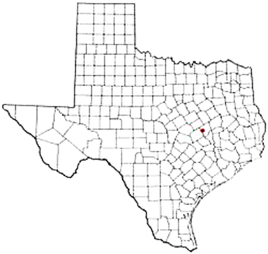 Calvert Texas Apostille Document Services