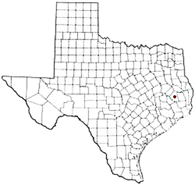Camden Texas Apostille Document Services