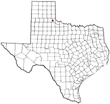 Carey Texas Apostille Document Services