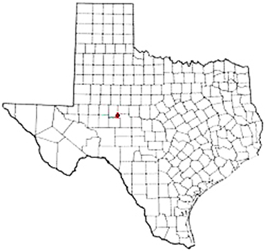 Carlsbad Texas Apostille Document Services