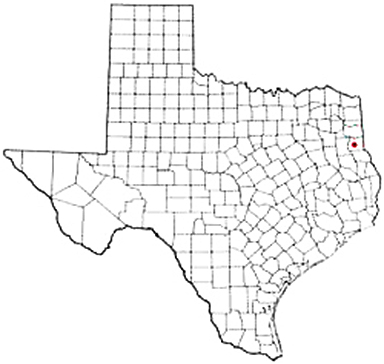 Carthage Texas Apostille Document Services