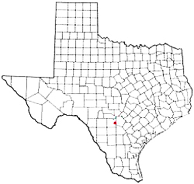 Castroville Texas Apostille Document Services