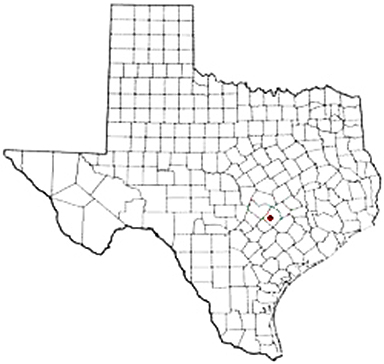 Cedar Creek Texas Apostille Document Services