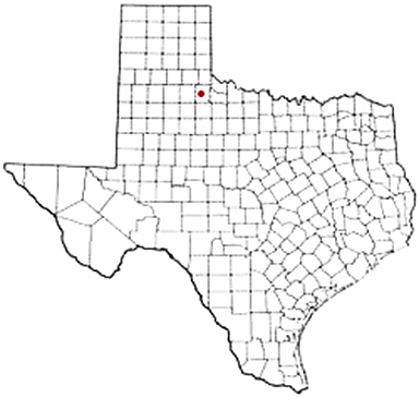 Chalk Texas Apostille Document Services