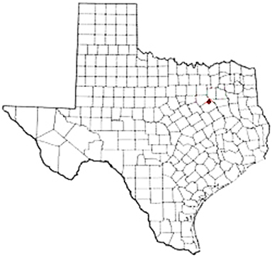 Chatfield Texas Apostille Document Services