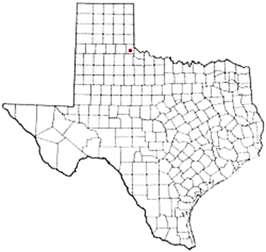 Childress Texas Apostille Document Services