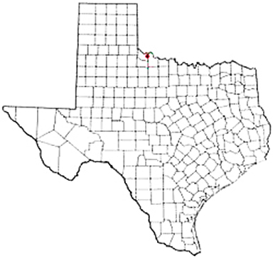 Chillicothe Texas Apostille Document Services