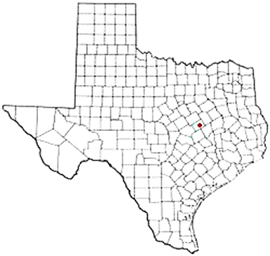 Chilton Texas Apostille Document Services