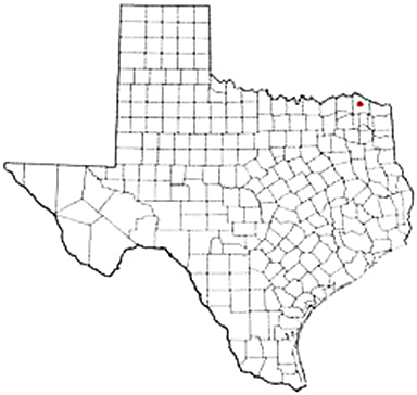 Clarksville Texas Apostille Document Services
