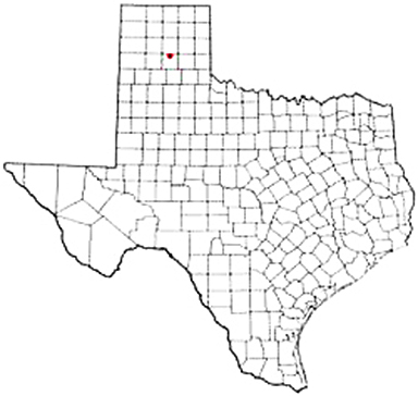 Claude Texas Apostille Document Services
