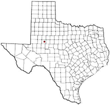 Coahoma Texas Apostille Document Services