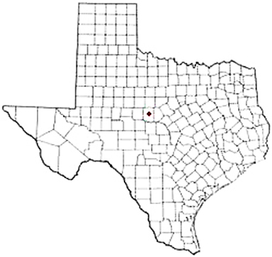 Coleman Texas Apostille Document Services
