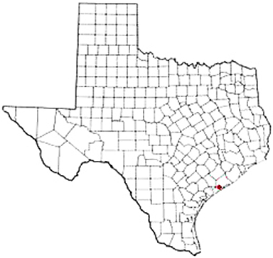 Collegeport Texas Apostille Document Services