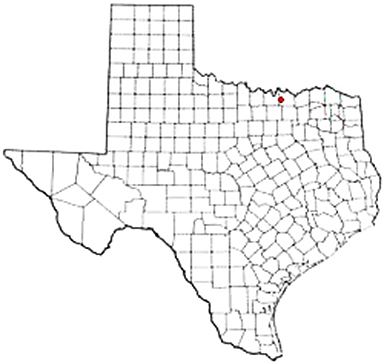 Collinsville Texas Apostille Document Services