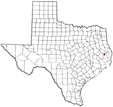Colmesneil Texas Apostille Document Services
