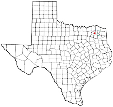 Como Texas Apostille Document Services