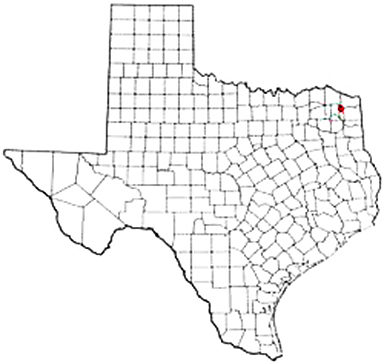 Cookville Texas Apostille Document Services