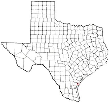 Corpus Christi Texas Apostille Document Services