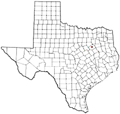 Corsicana Texas Apostille Document Services