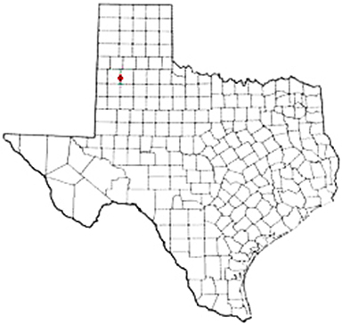 Cotton Center Texas Apostille Document Services
