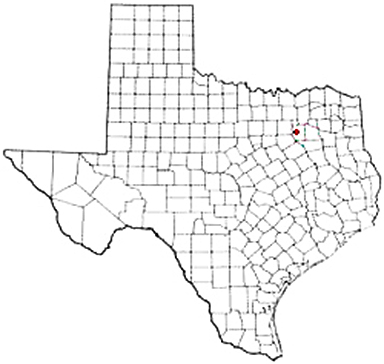 Crandall Texas Apostille Document Services