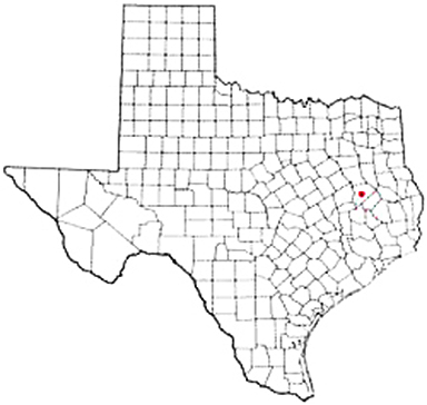 Crockett Texas Apostille Document Services