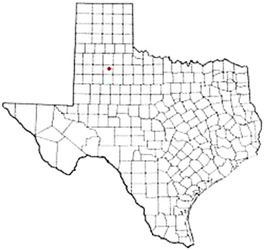 Crosbyton Texas Apostille Document Services