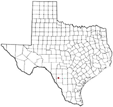 Crystal City Texas Apostille Document Services