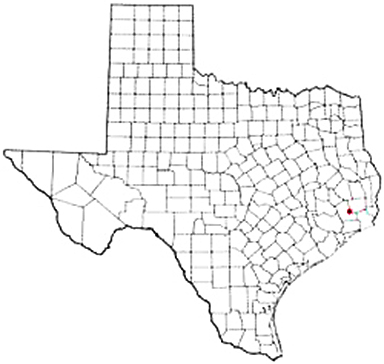 Daisetta Texas Apostille Document Services