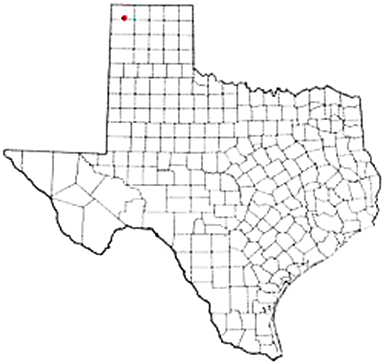 Dalhart Texas Apostille Document Services