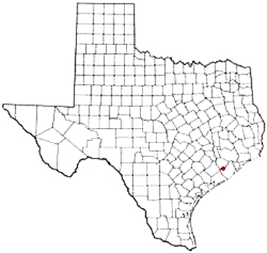Damon Texas Apostille Document Services