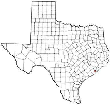 Danbury Texas Apostille Document Services