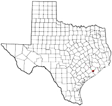 Danciger Texas Apostille Document Services