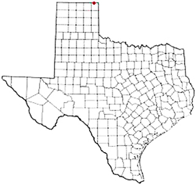 Darrouzett Texas Apostille Document Services