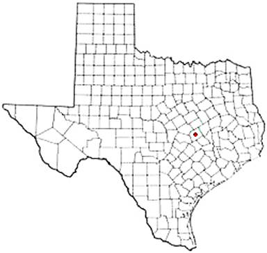 Davilla Texas Apostille Document Services