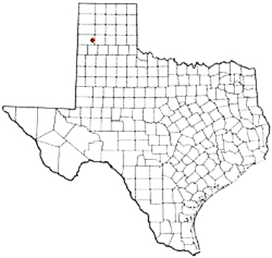 Dawn Texas Apostille Document Services