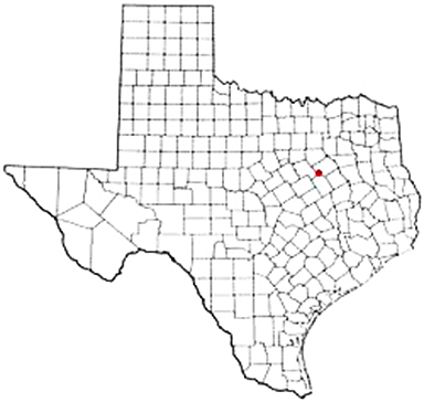 Dawson Texas Apostille Document Services