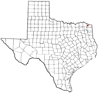 De Kalb Texas Apostille Document Services
