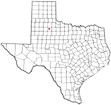 Dickens Texas Apostille Document Services